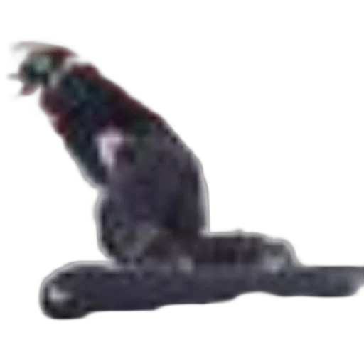 animal, creature, dragon, staff transparent PNG cut-out