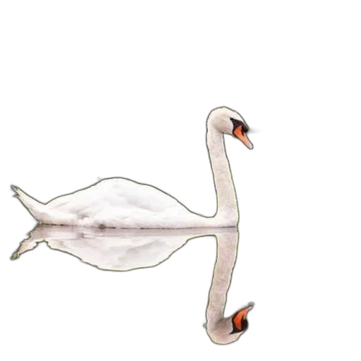 animal, creature, staff, weapon transparent PNG cut-out