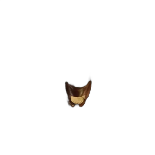 crown, hat, mask, jewelry transparent PNG cut-out