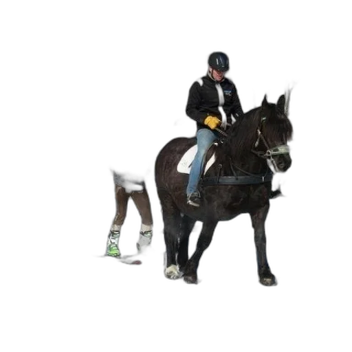 staff, person, riding, horse transparent PNG cut-out