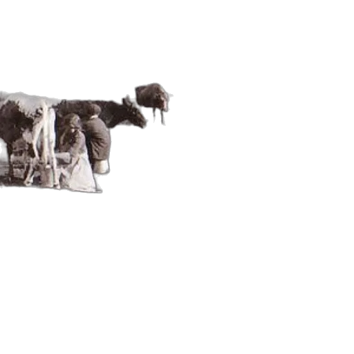 weapon, animal, sword, food transparent PNG cut-out