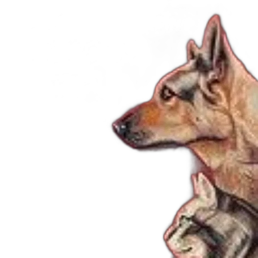 animal, creature, staff, face transparent PNG cut-out