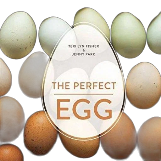 perfect, egg, book, cover transparent PNG cut-out