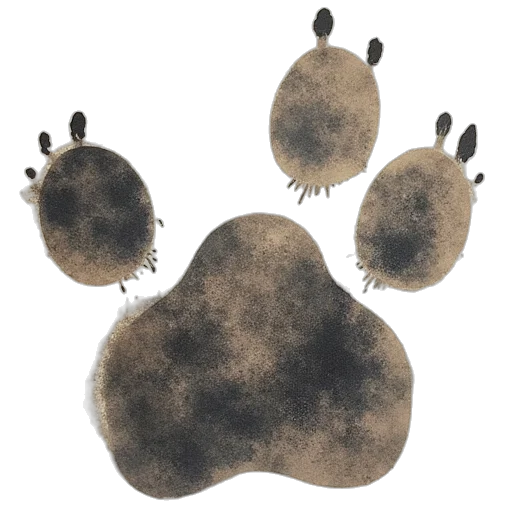 animal, mask, creature, hair transparent PNG cut-out