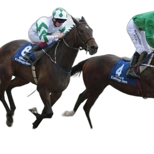 two, jockeys, horses, racing transparent PNG cut-out