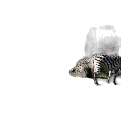 animal, dragon, creature, food transparent PNG cut-out