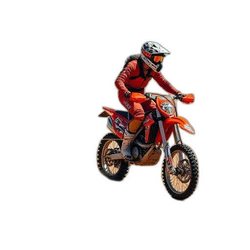animal, jacket, 3d render, pixel art transparent PNG cut-out