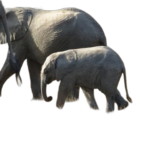 animal, creature, weapon, 3d render transparent PNG cut-out