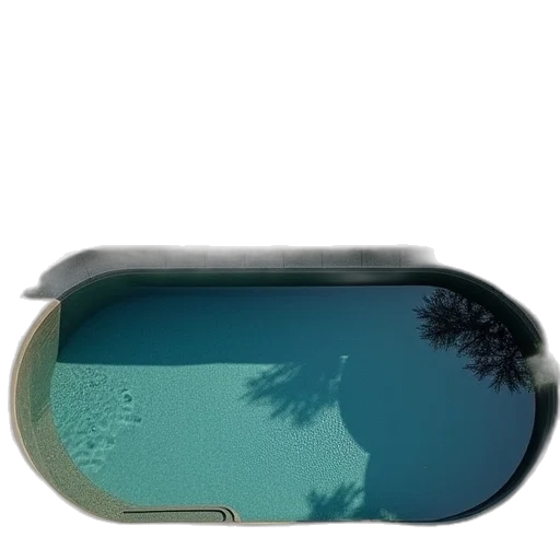 car, tree, hat, hair transparent PNG cut-out