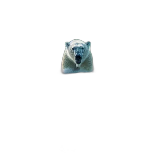animal, jewelry, creature, face transparent PNG cut-out