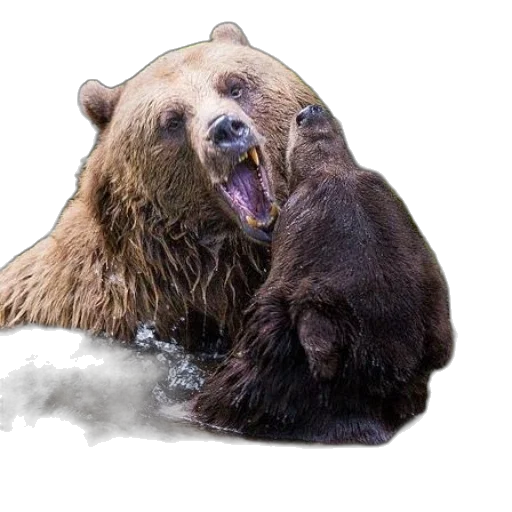 animal, creature, photorealistic, concept art transparent PNG cut-out