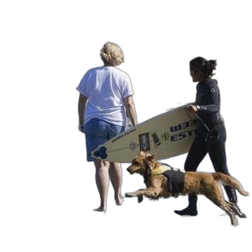 staff, animal, woman, wetsuit transparent PNG cut-out