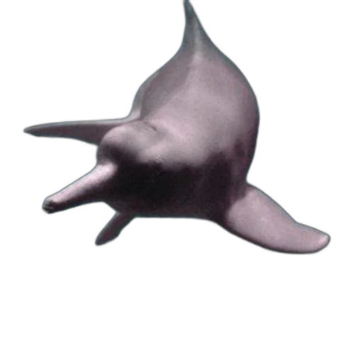 animal, creature, hat, staff transparent PNG cut-out
