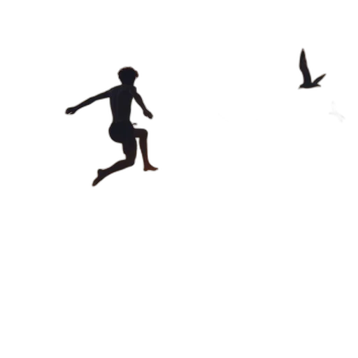 shoes, animal, weapon, creature transparent PNG cut-out