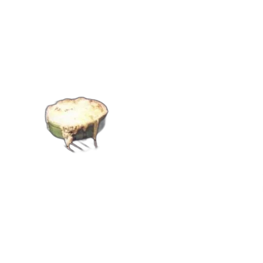food, hat, furniture, tree transparent PNG cut-out