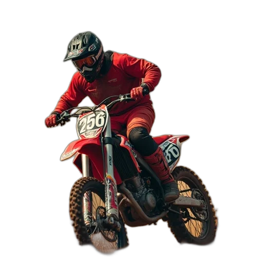 jacket, animal, photorealistic, concept art transparent PNG cut-out
