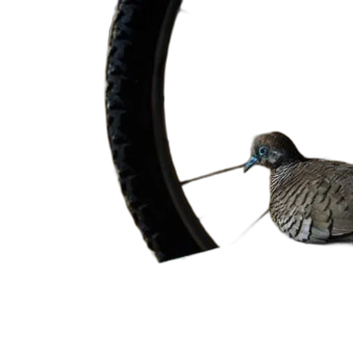 weapon, sword, staff, animal transparent PNG cut-out