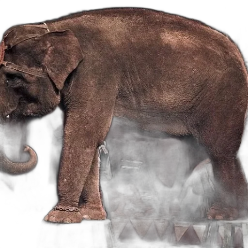 animal, creature, concept art, photorealistic transparent PNG cut-out
