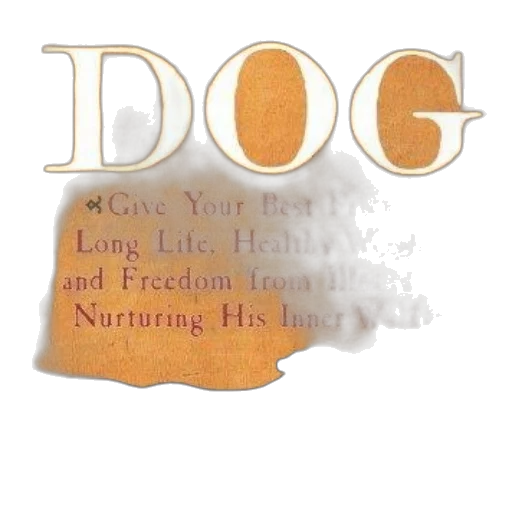 food, animal, fog, cover transparent PNG cut-out