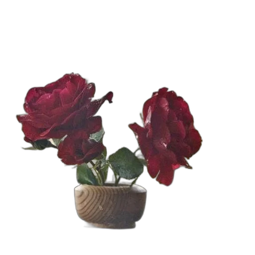 flower, crown, jewelry, staff transparent PNG cut-out