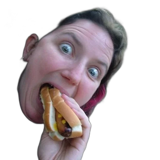 food, face, animal, creature transparent PNG cut-out
