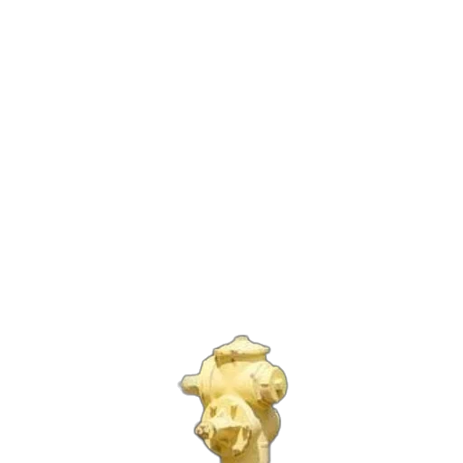 animal, hat, food, creature transparent PNG cut-out