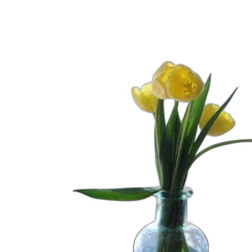 flower, crown, bottle, furniture transparent PNG cut-out