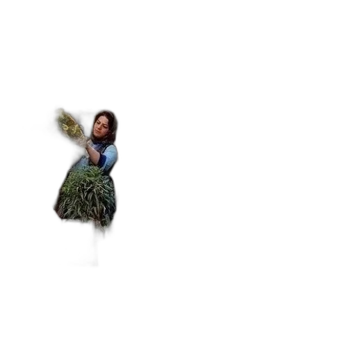 hair, creature, dress, animal transparent PNG cut-out