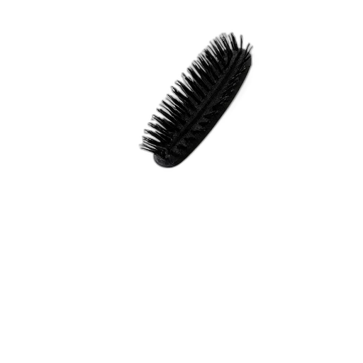 hair, crown, creature, animal transparent PNG cut-out