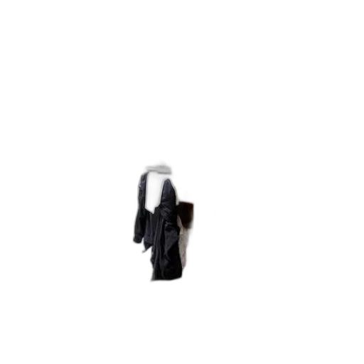 jacket, dress, staff, hat transparent PNG cut-out