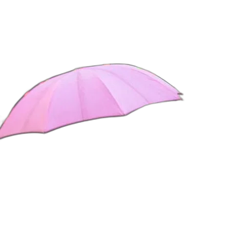 umbrella, hat, flower, weapon transparent PNG cut-out