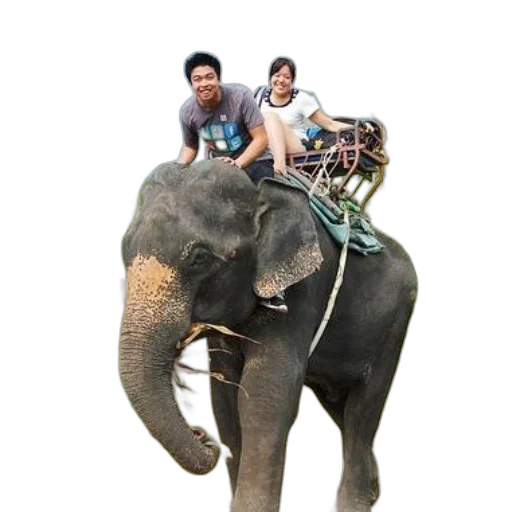 animal, staff, photorealistic, concept art transparent PNG cut-out