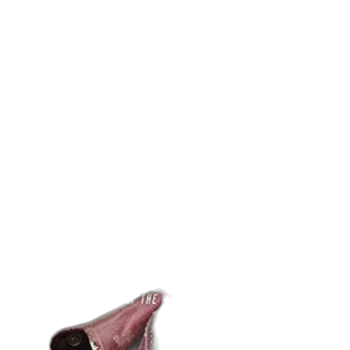 animal, creature, hat, shoes transparent PNG cut-out