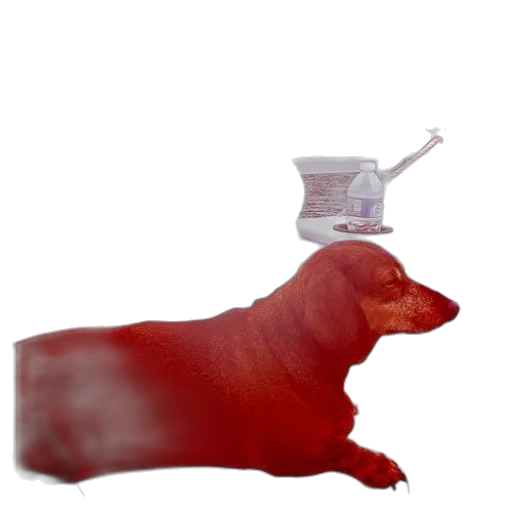 animal, bottle, creature, dress transparent PNG cut-out