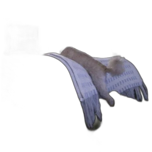 shoes, umbrella, mask, hat transparent PNG cut-out