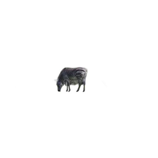 animal, creature, furniture, hair transparent PNG cut-out