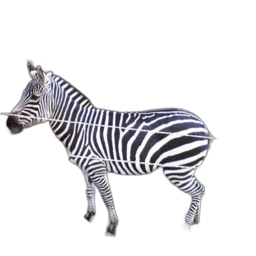 animal, creature, jewelry, staff transparent PNG cut-out