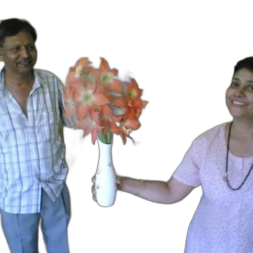 staff, umbrella, flower, forest transparent PNG cut-out