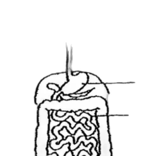 jacket, hair, food, jewelry transparent PNG cut-out