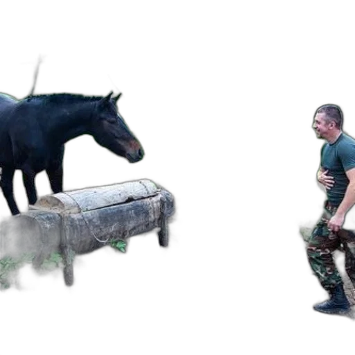 animal, weapon, creature, concept art transparent PNG cut-out