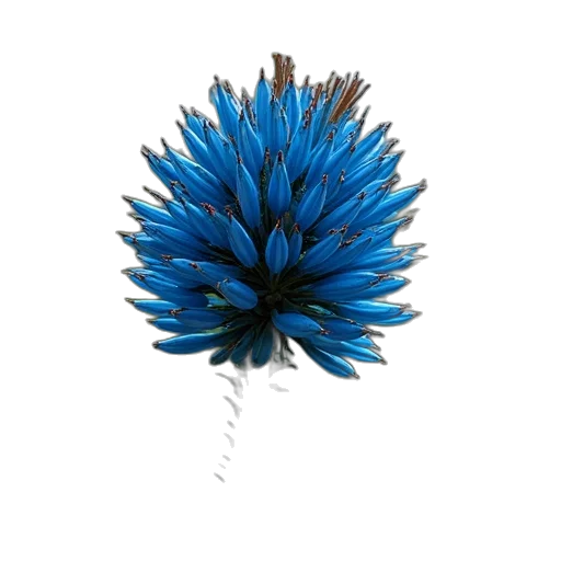 hair, flower, umbrella, staff transparent PNG cut-out