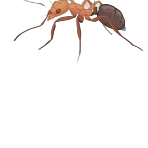 animal, creature, concept art, pixel art transparent PNG cut-out