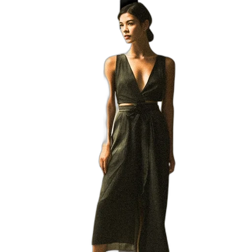 dress, earth tones, dark, monochrome transparent PNG cut-out