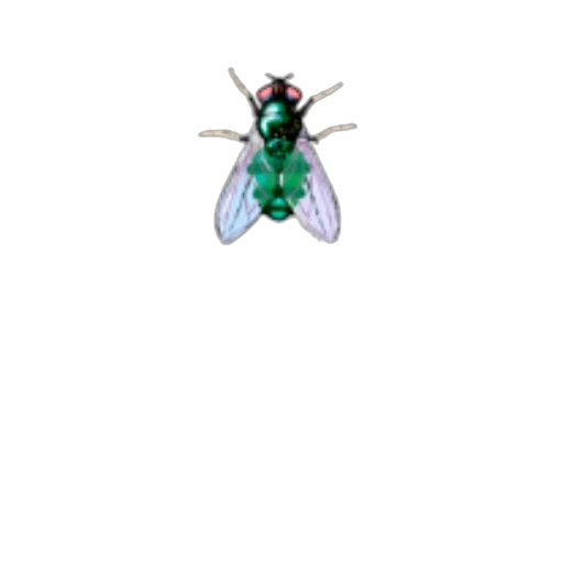 animal, creature, dragon, staff transparent PNG cut-out