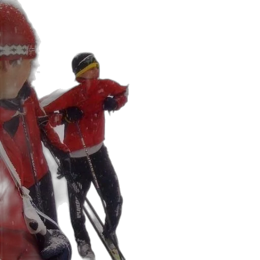 3d render, snow, group, skiers transparent PNG cut-out