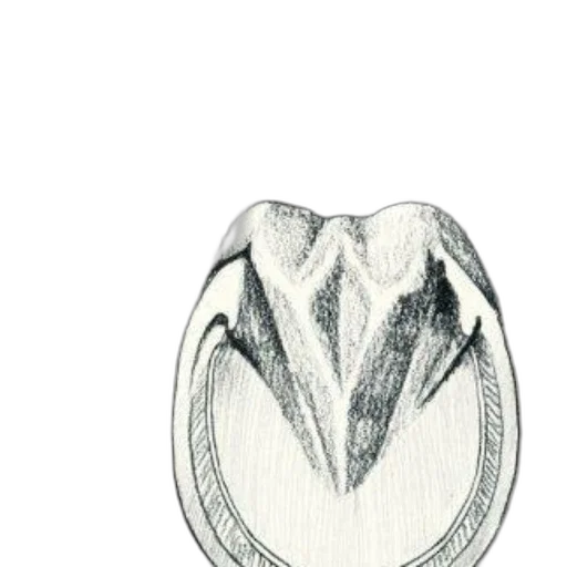 jewelry, crown, mask, jacket transparent PNG cut-out