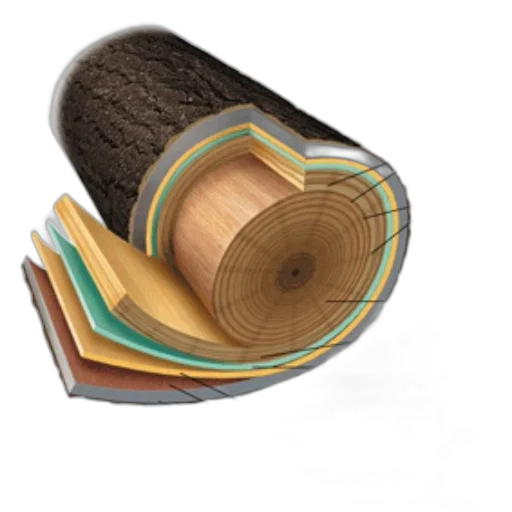 hat, furniture, shoes, hair transparent PNG cut-out