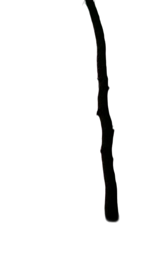 staff, sword, weapon, hair transparent PNG cut-out
