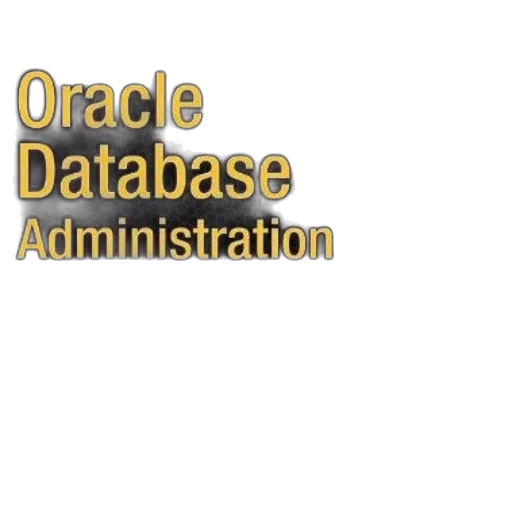 expert, oracle, database, 11g transparent PNG cut-out