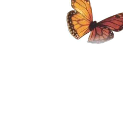 animal, creature, flower, dragon transparent PNG cut-out